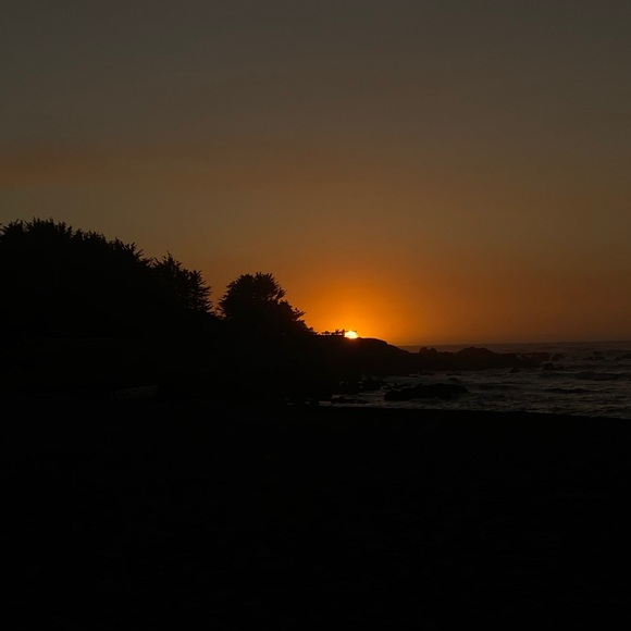 Meet your Posher, Steven - Picture 1 of 1